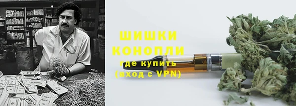 спайс Арсеньев