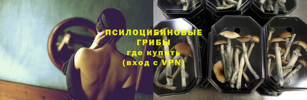 спайс Арсеньев