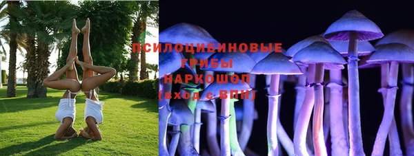 спайс Арсеньев