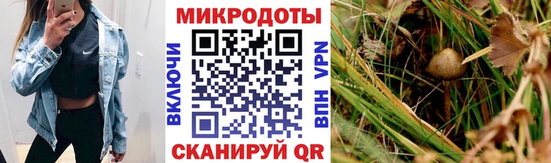Галлюциногенные грибы ЛСД Голицыно